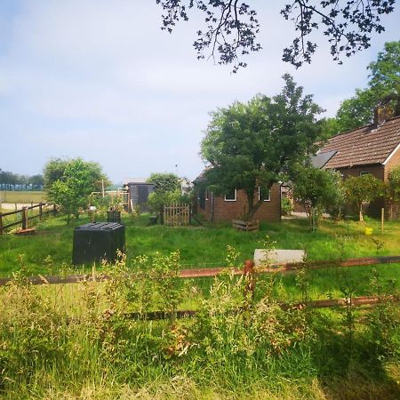 Trekkershut - Tiny House - Hikers Cottage Wijster Екстер'єр фото