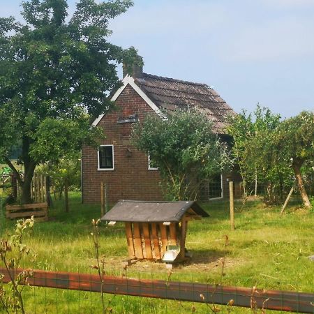 Trekkershut - Tiny House - Hikers Cottage Wijster Екстер'єр фото