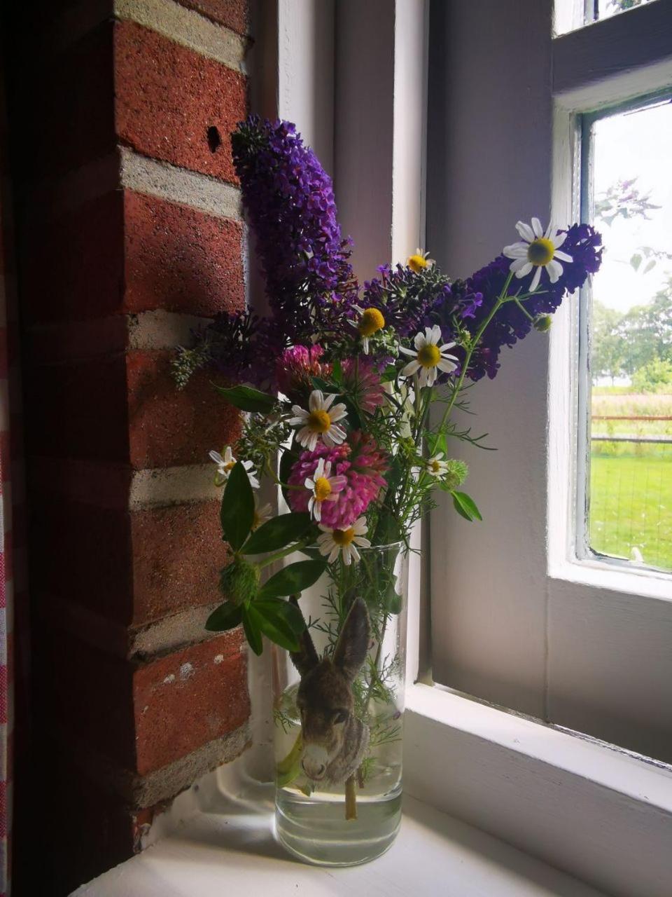 Trekkershut - Tiny House - Hikers Cottage Wijster Екстер'єр фото